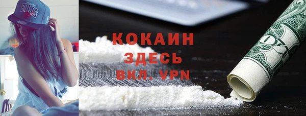соль курить ск Новодвинск