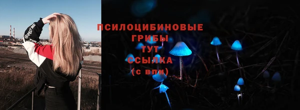 соль курить ск Новодвинск