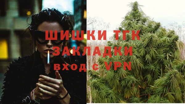 соль курить ск Новодвинск