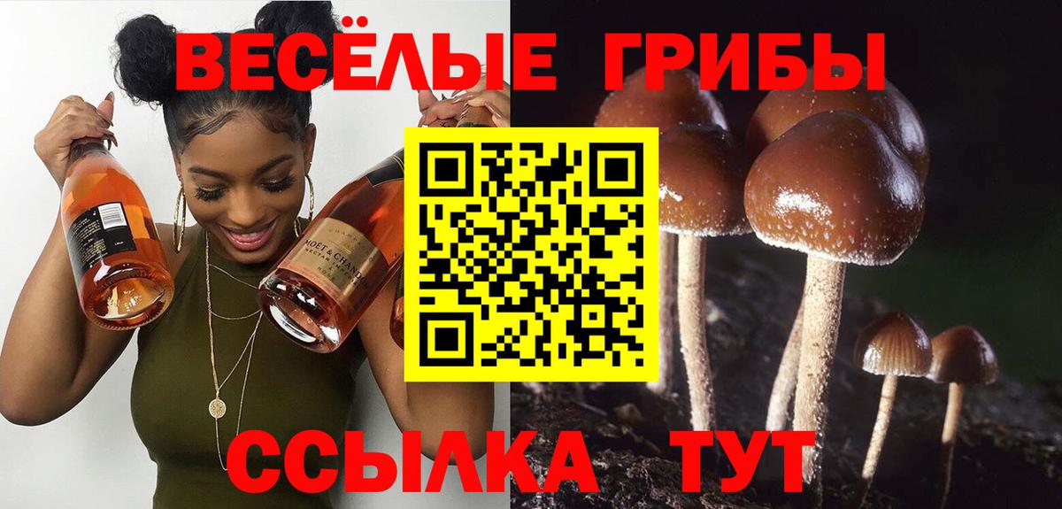 Галлюциногенные грибы прущие грибы  Вход с VPN  Апшеронск 
