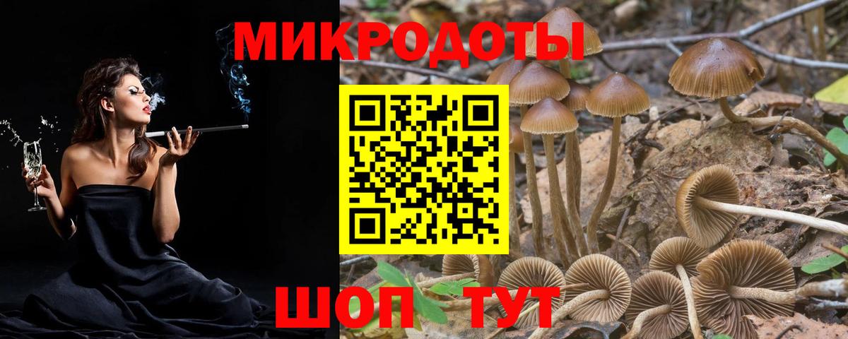 Галлюциногенные грибы Cubensis Апшеронск