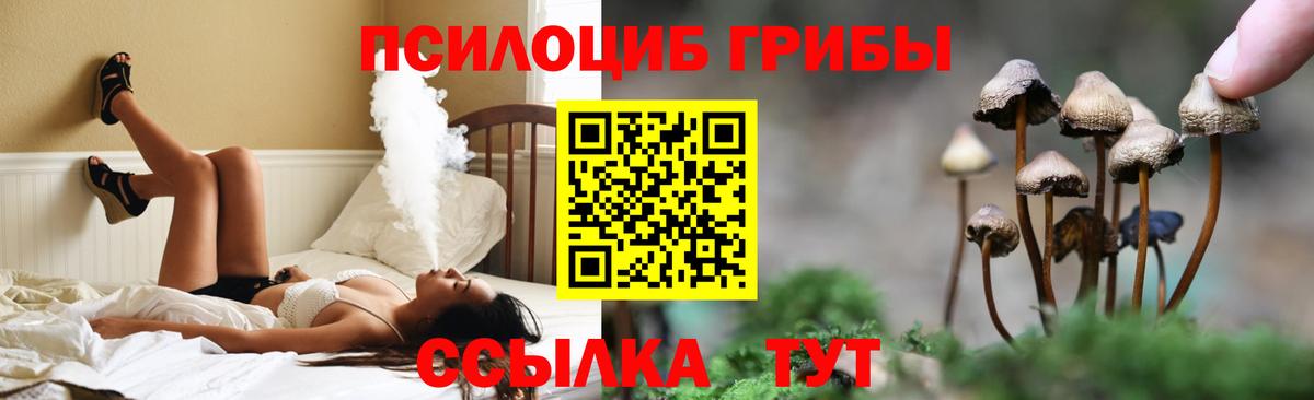 Псилоцибиновые грибы Magic Shrooms Апшеронск